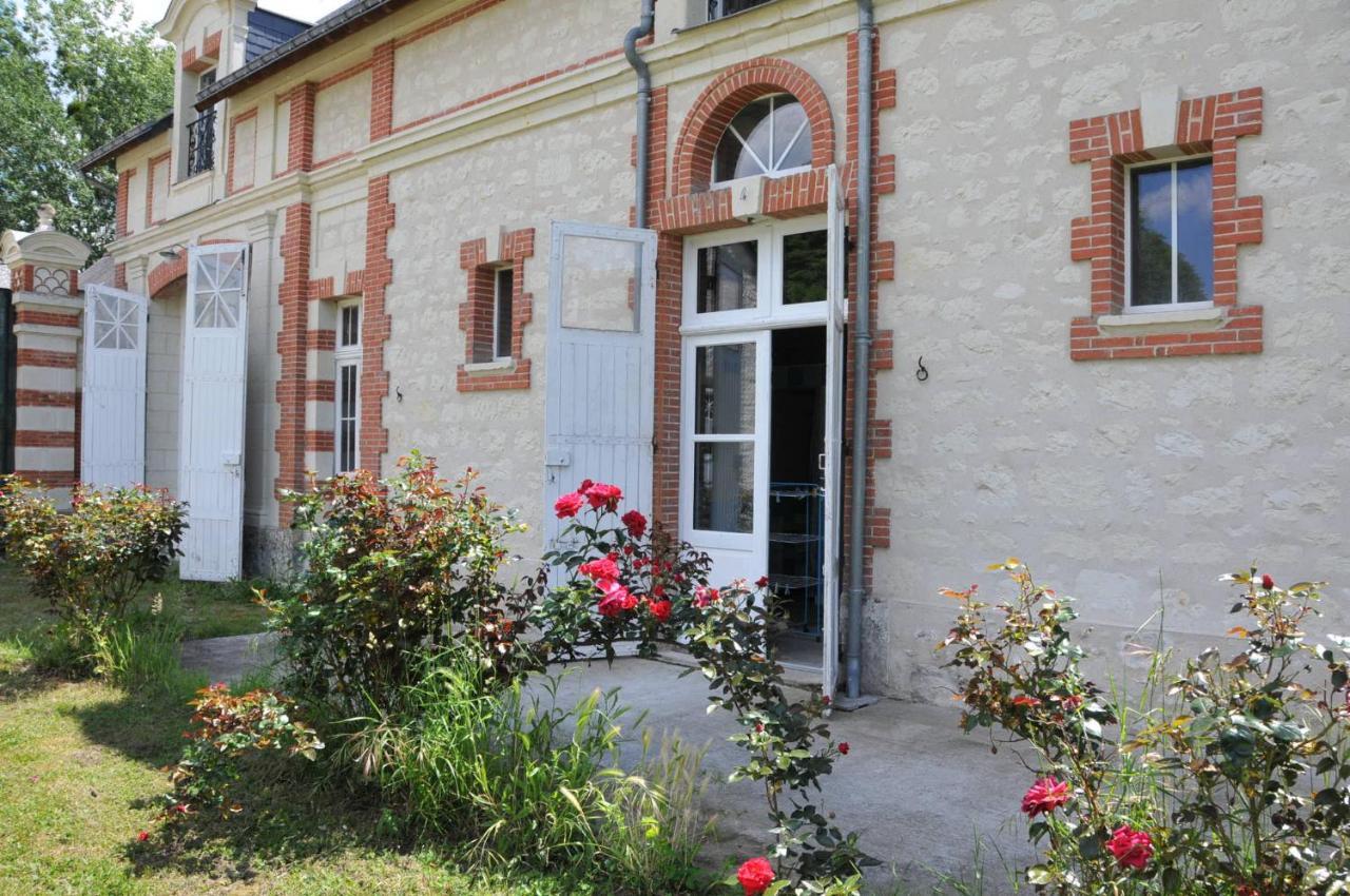 Campsite Château Campsite: Rustic Outdoor Experience